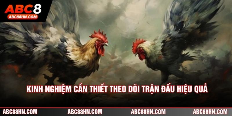 Kinh nghiệm cần thiết theo dõi trận đấu hiệu quả
