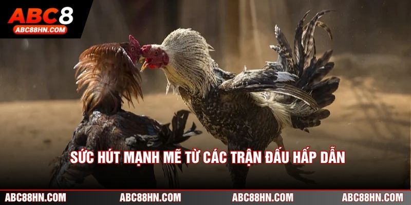 Sức hút mạnh mẽ từ các trận đấu hấp dẫn
